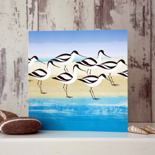 Avocets Greeting Card