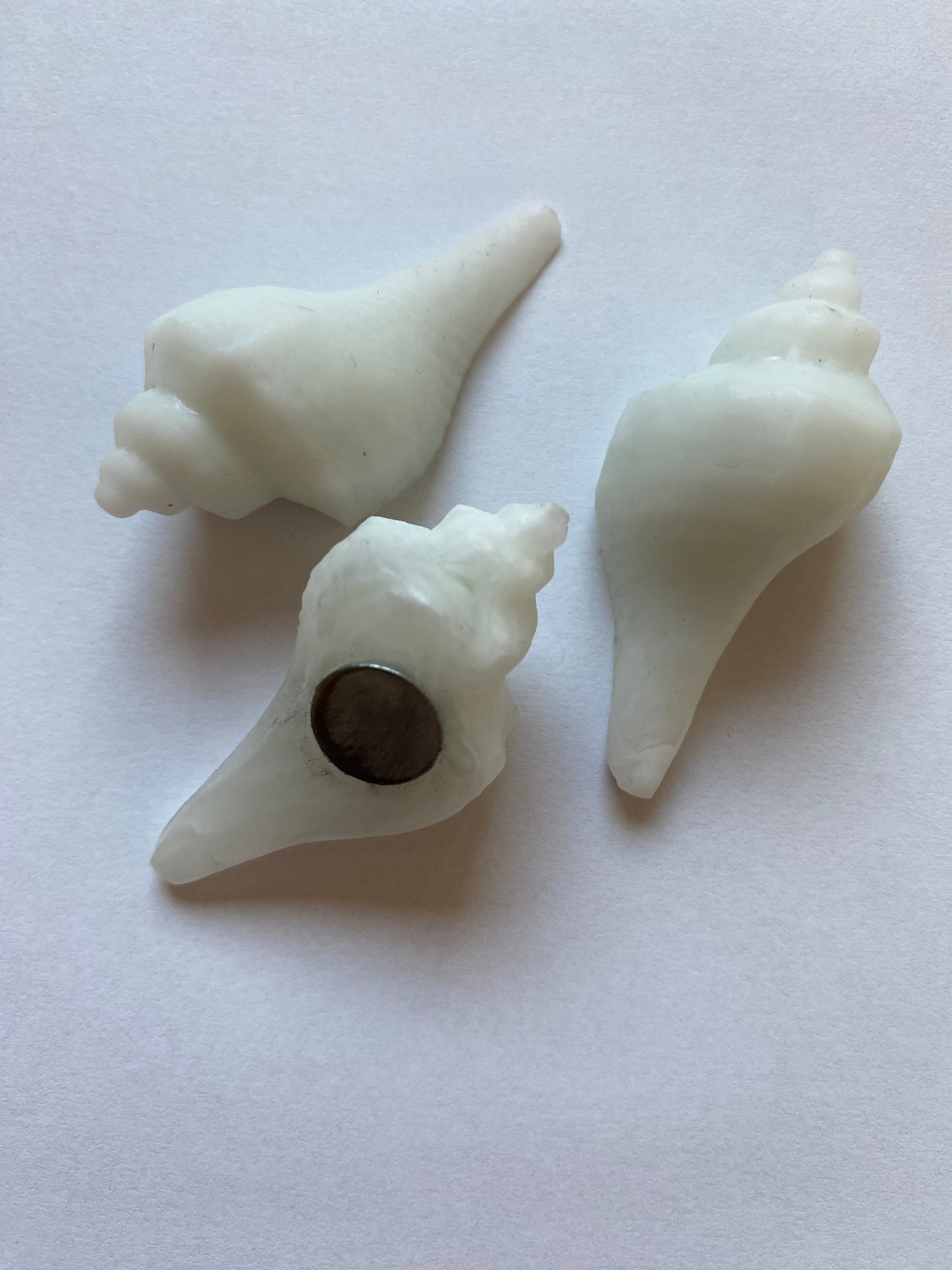 Shell Fridge Magnet Offer 2 for £5