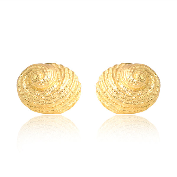 Shell Stud Earrings - Gold