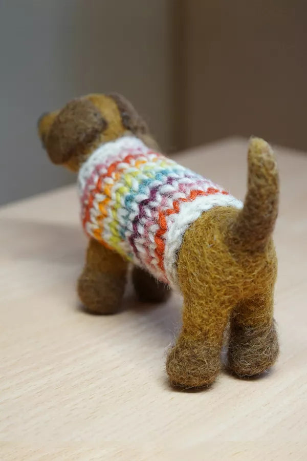 Hoxton Harry the Dachshund