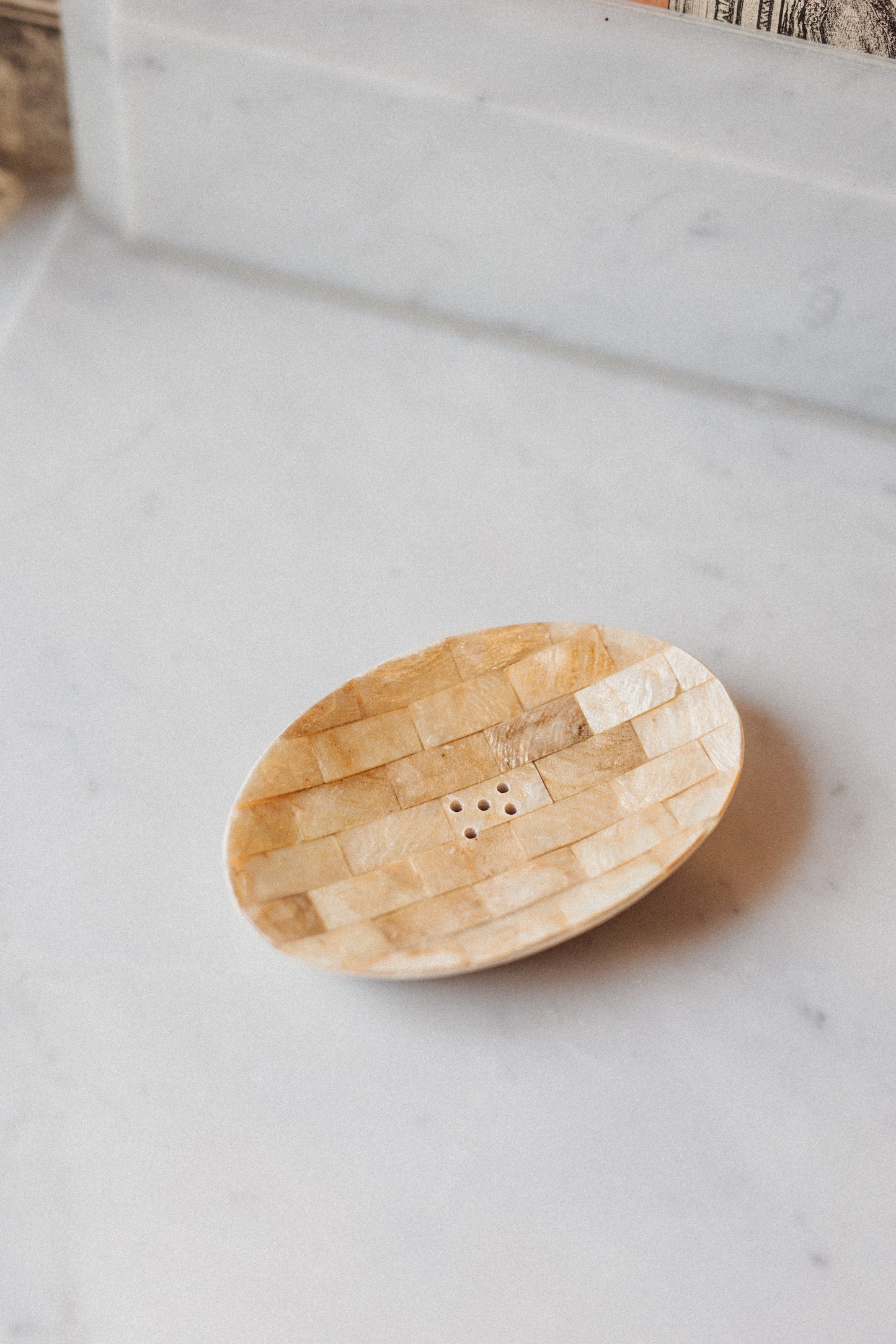 Oval Shell Soap/Trinket Dish (SWT 074)