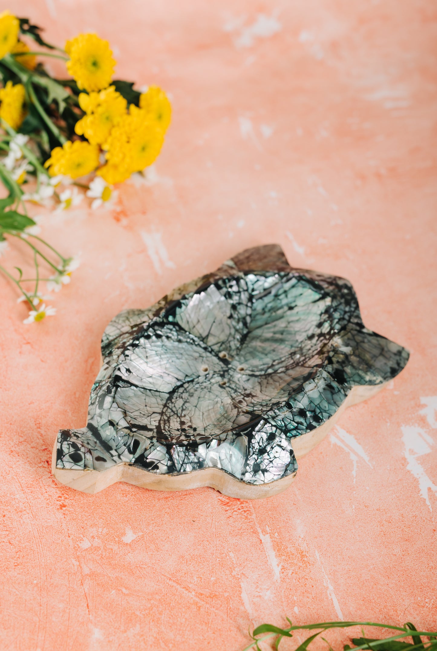 Shell & Wooden Turtle Soap/Trinket Dish - Abstract (SWT 072)