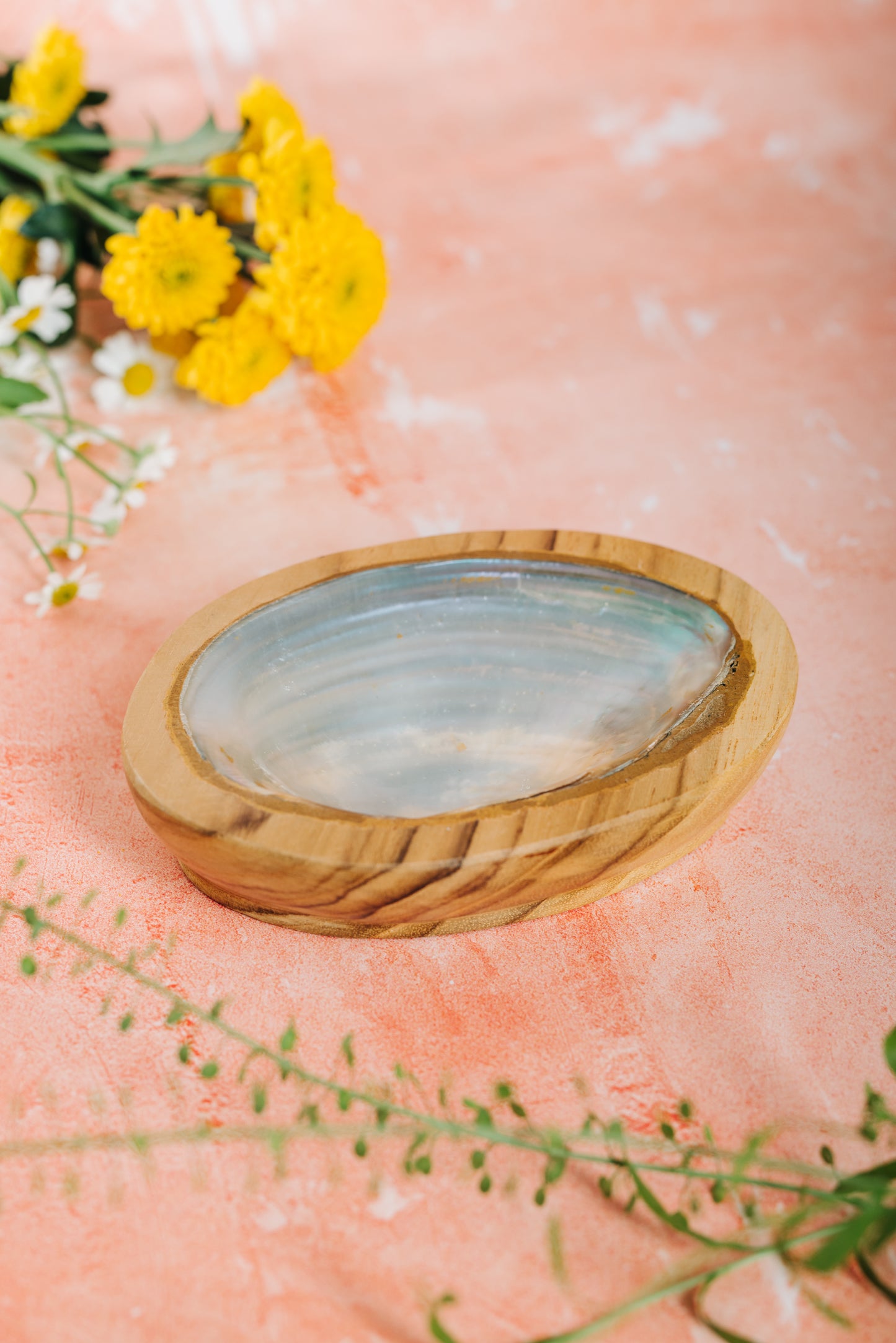 Shell & Wooden Soap/Trinket Dish - Mother Of Pearl (SWT 075)
