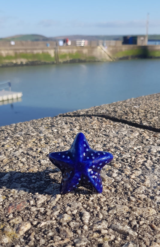Navy Blue Starfish Ceramic Knob 132