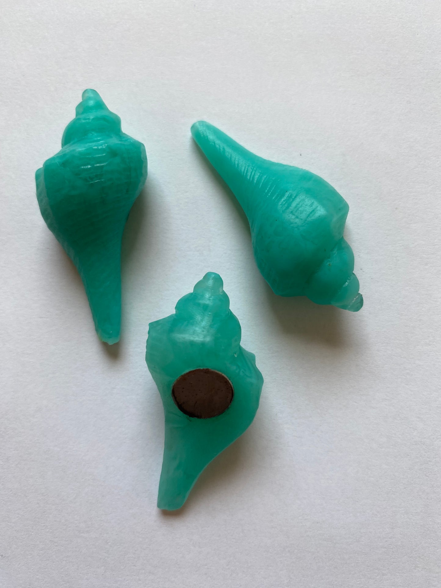 Medium Green Shell - Resin Fridge Magnet