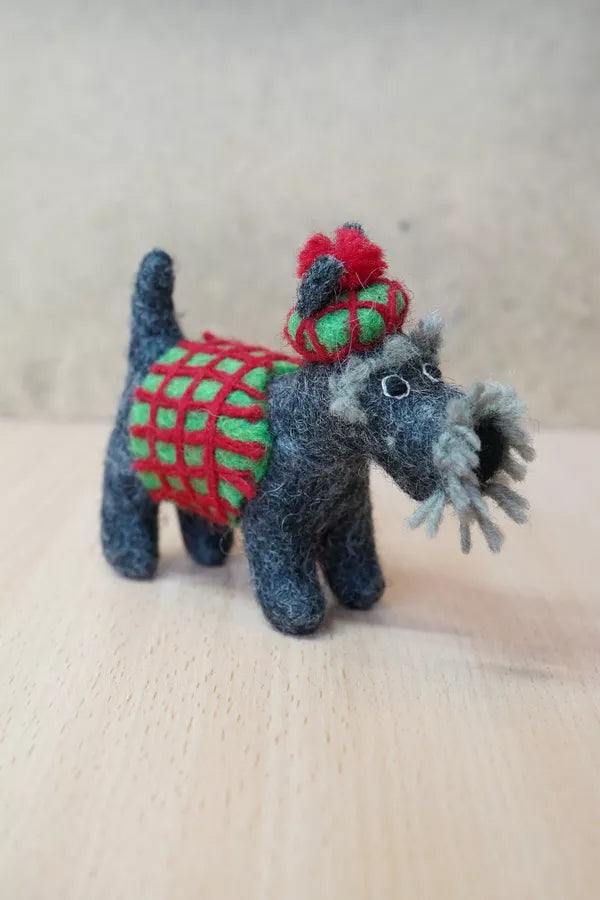 Scottie in a Sweater
