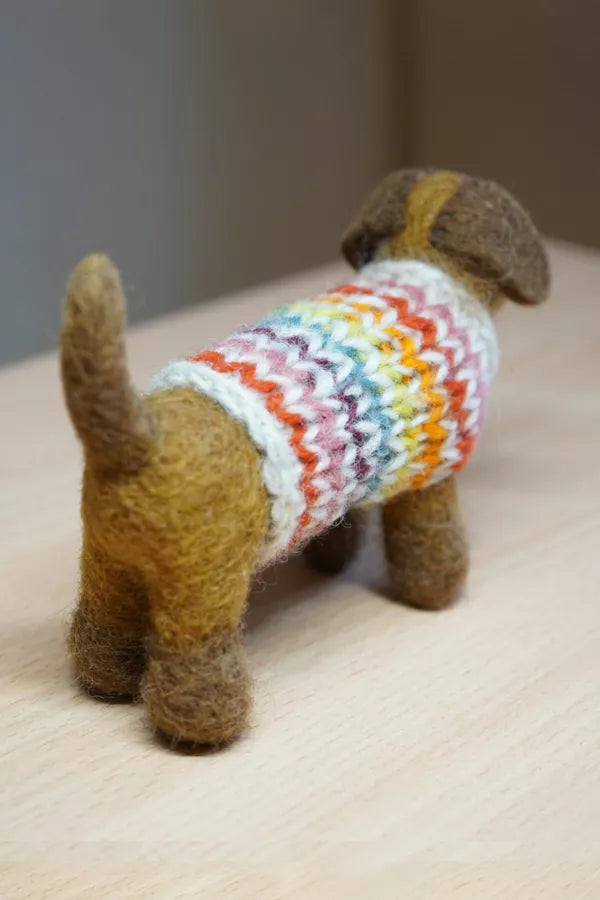 Hoxton Harry the Dachshund