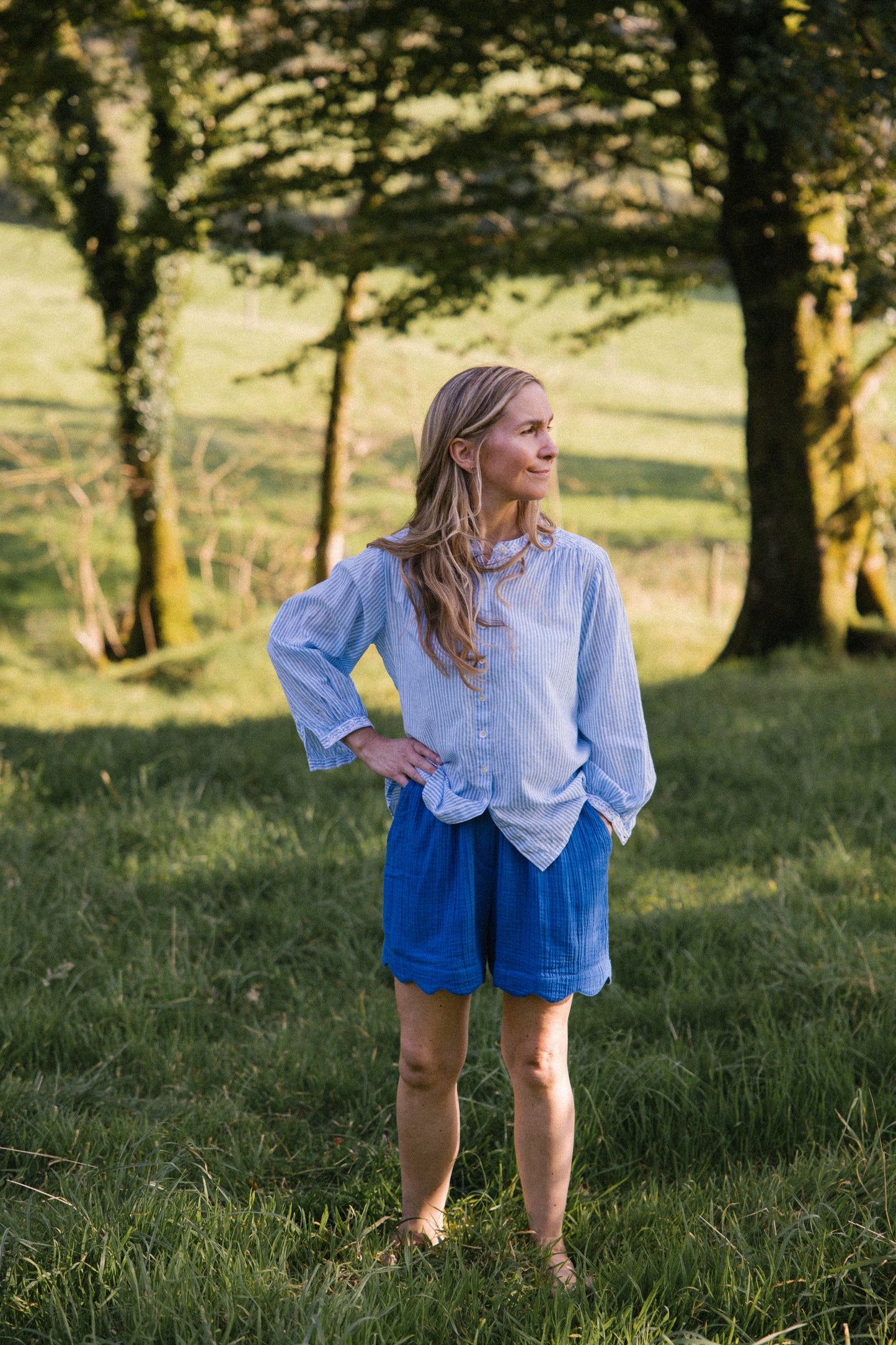 Sitara Stripe Blouse - Blue