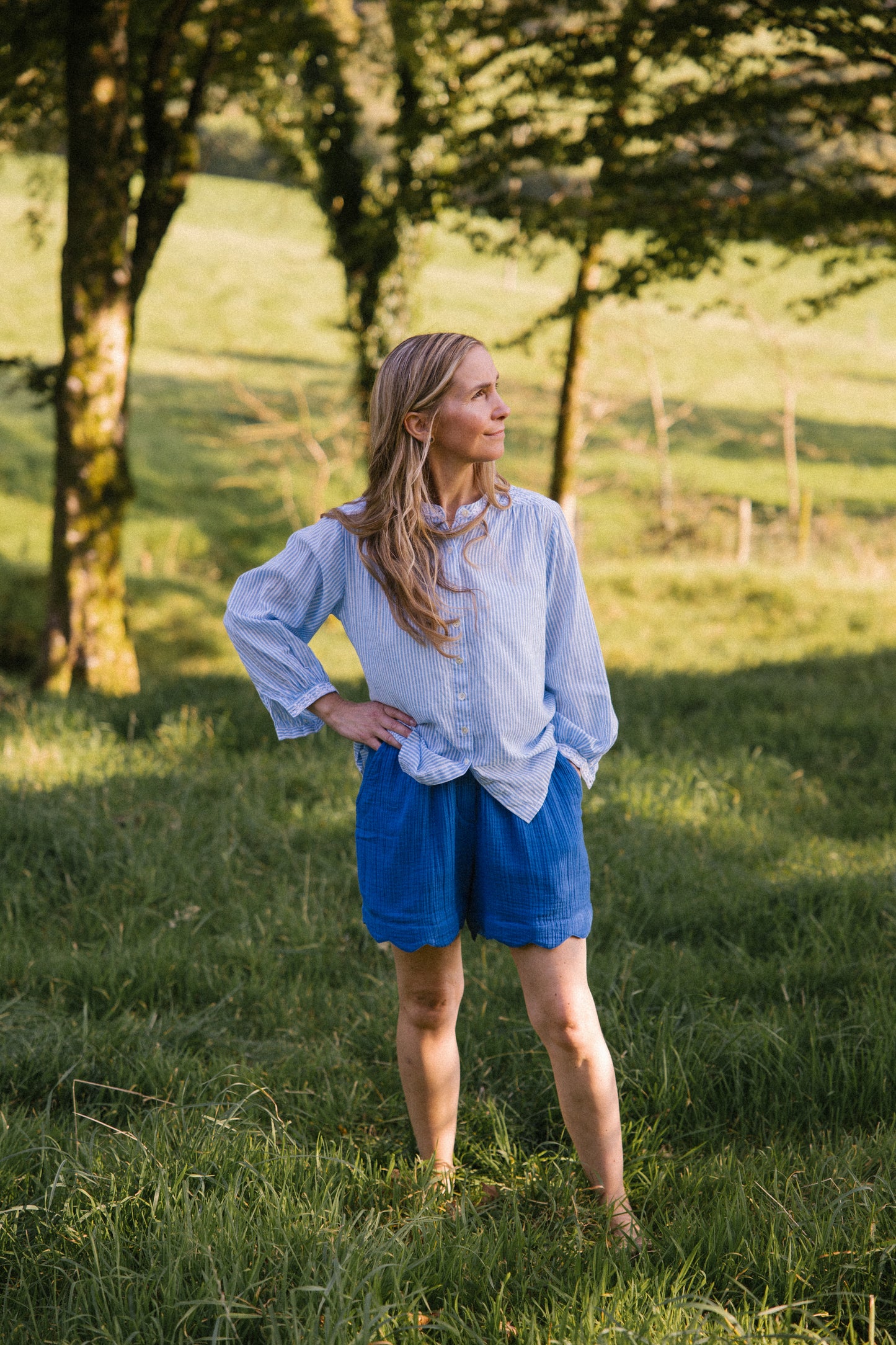 Sitara Stripe Blouse - Blue