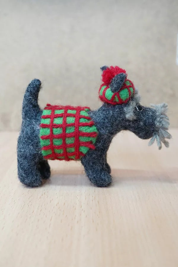 Scottie in a Sweater