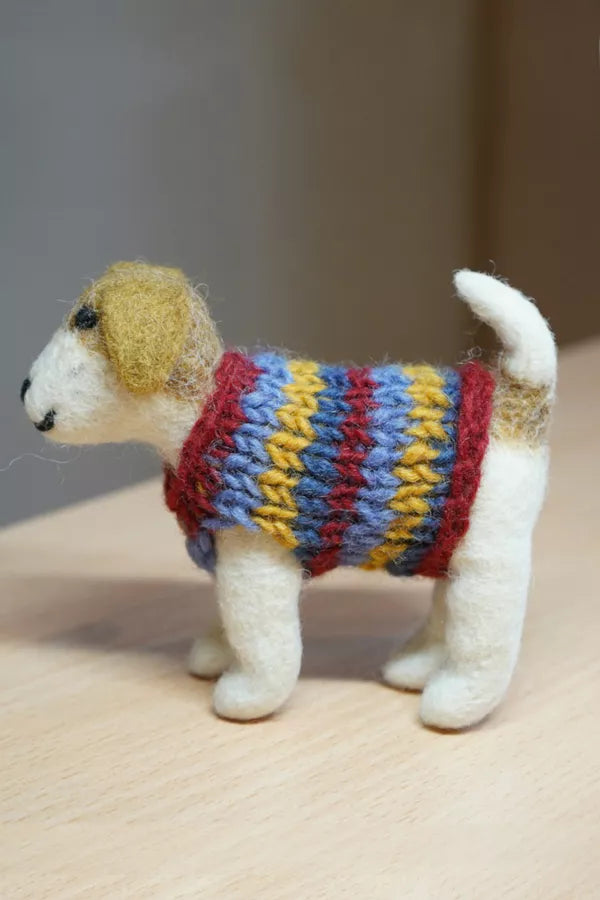 Jack in a Jumper