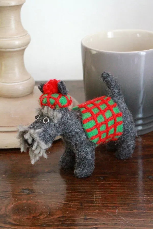Scottie in a Sweater
