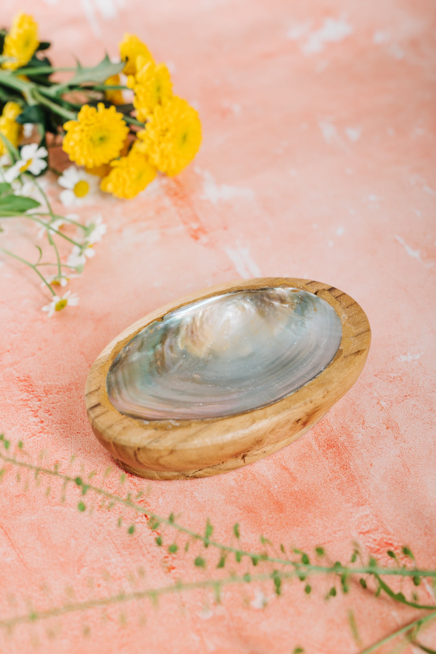 Shell & Wooden Soap/Trinket Dish - Mother Of Pearl (SWT 076)