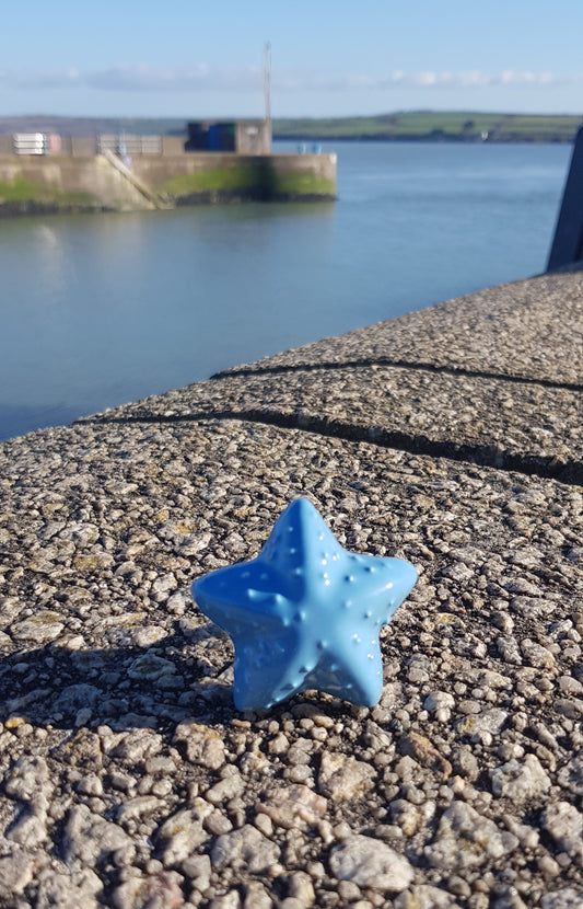 Light Blue Starfish Ceramic Knob