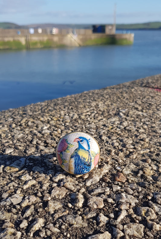 Parrot Print Ceramic Knob