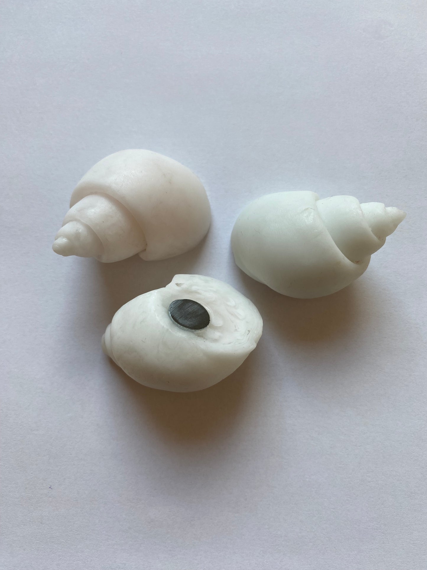 Large White Shell - Resin Fridge Magnet