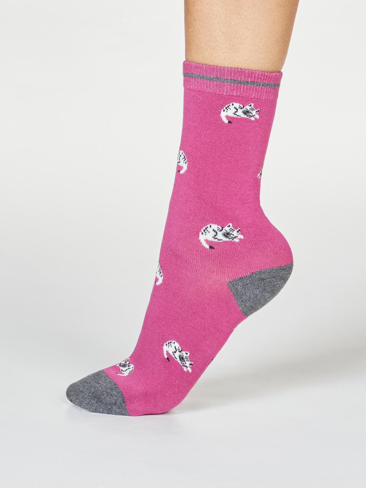 Penguin sock
