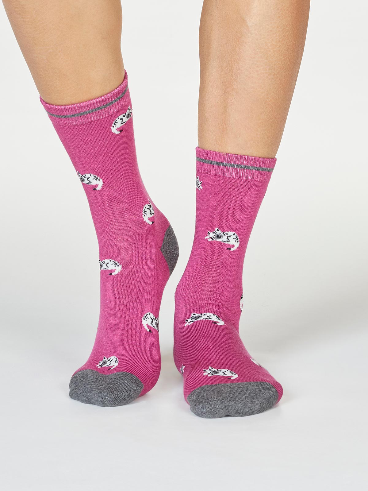Penguin sock